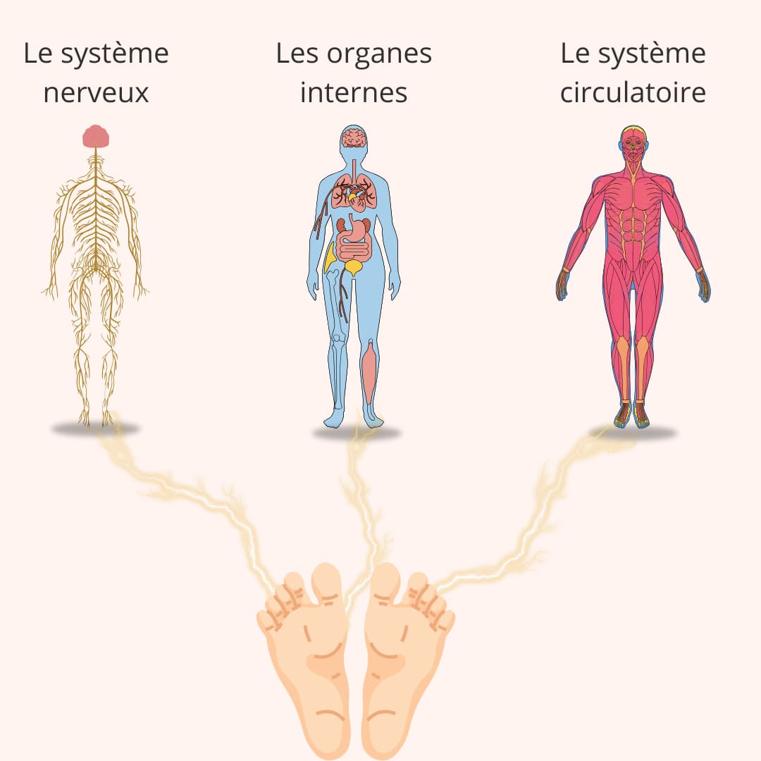Lorène Moris réflexologue plantaire à Libramont